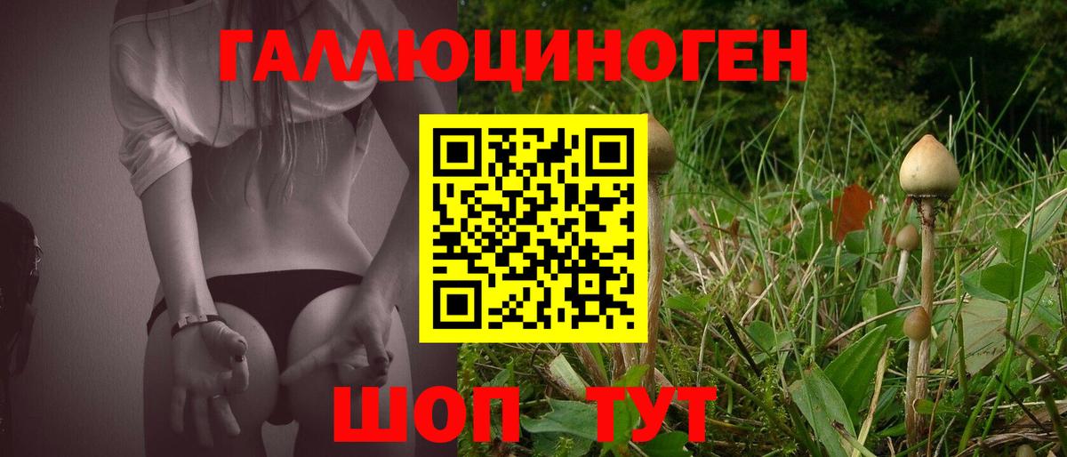 Псилоцибиновые грибы мицелий  купить   Вход с VPN  Сафоново  Псилоцибиновые грибы мухоморы 