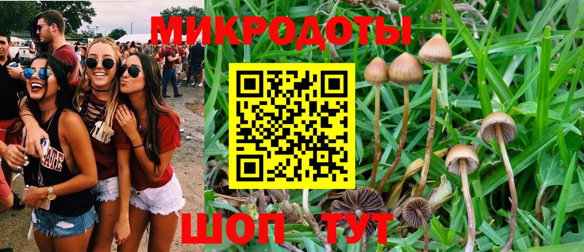 Псилоцибиновые грибы ЛСД Сафоново