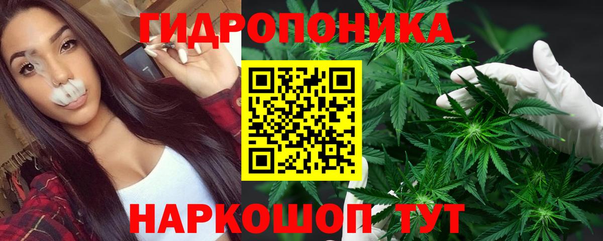 Марихуана Amnesia  Вход с VPN  Сафоново  Бошки марихуана ГИДРОПОН  Шишки марихуана White Widow 